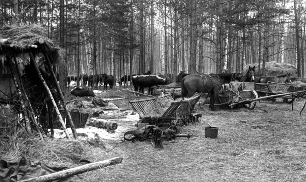 Лагерь одного из партизанских отрядов